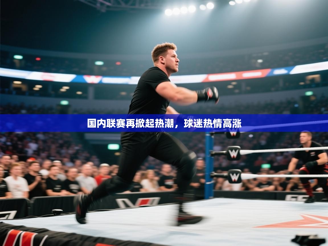 国内联赛再掀起热潮，球迷热情高涨  第2张