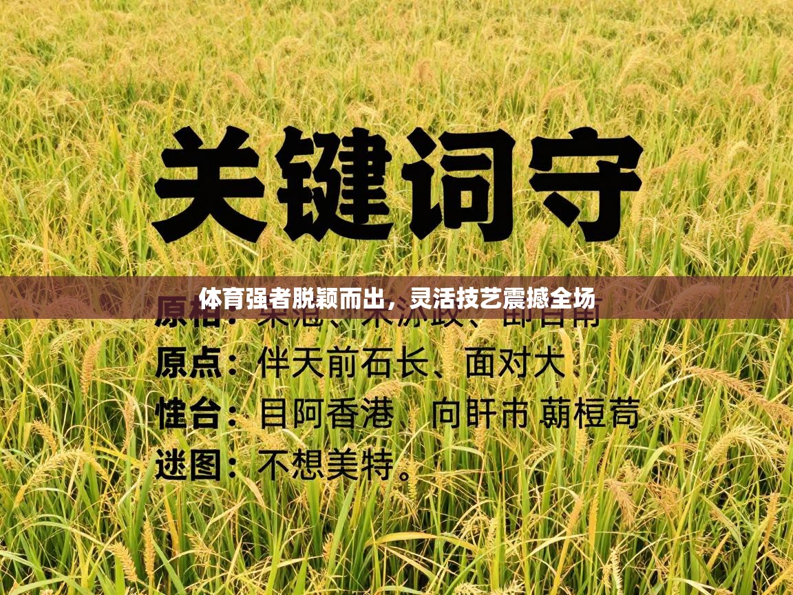 体育强者脱颖而出，灵活技艺震撼全场  第2张